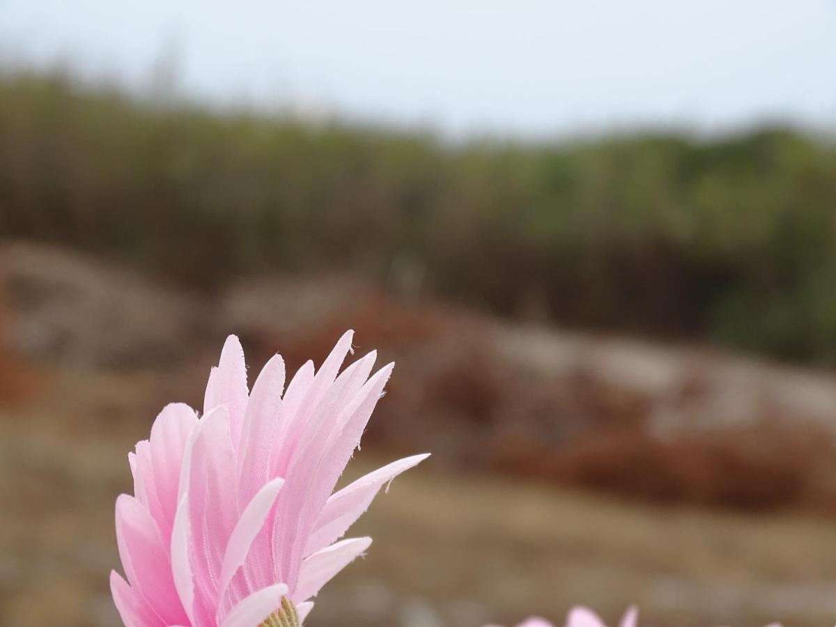 Sudwest Rooms By Stay In Alentejo For Hikers Vila Nova de Milfontes Exterior foto